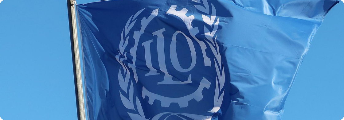 International Labour Organization (ILO) International Labour Organization (ILO) project