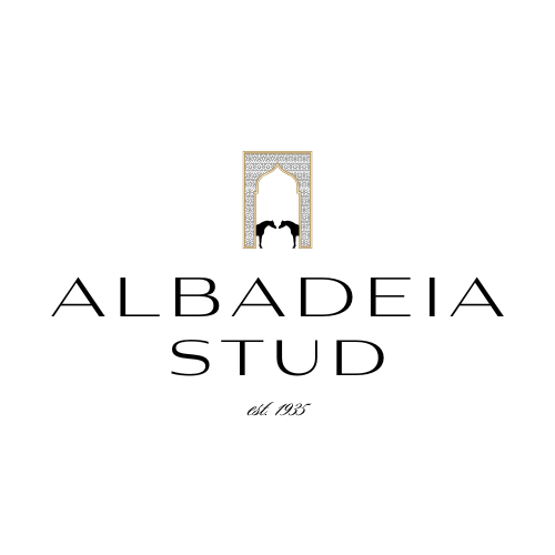 Albadeia Stud Website Albadeia Stud Website